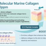 O.Nature Proposal_Page_04